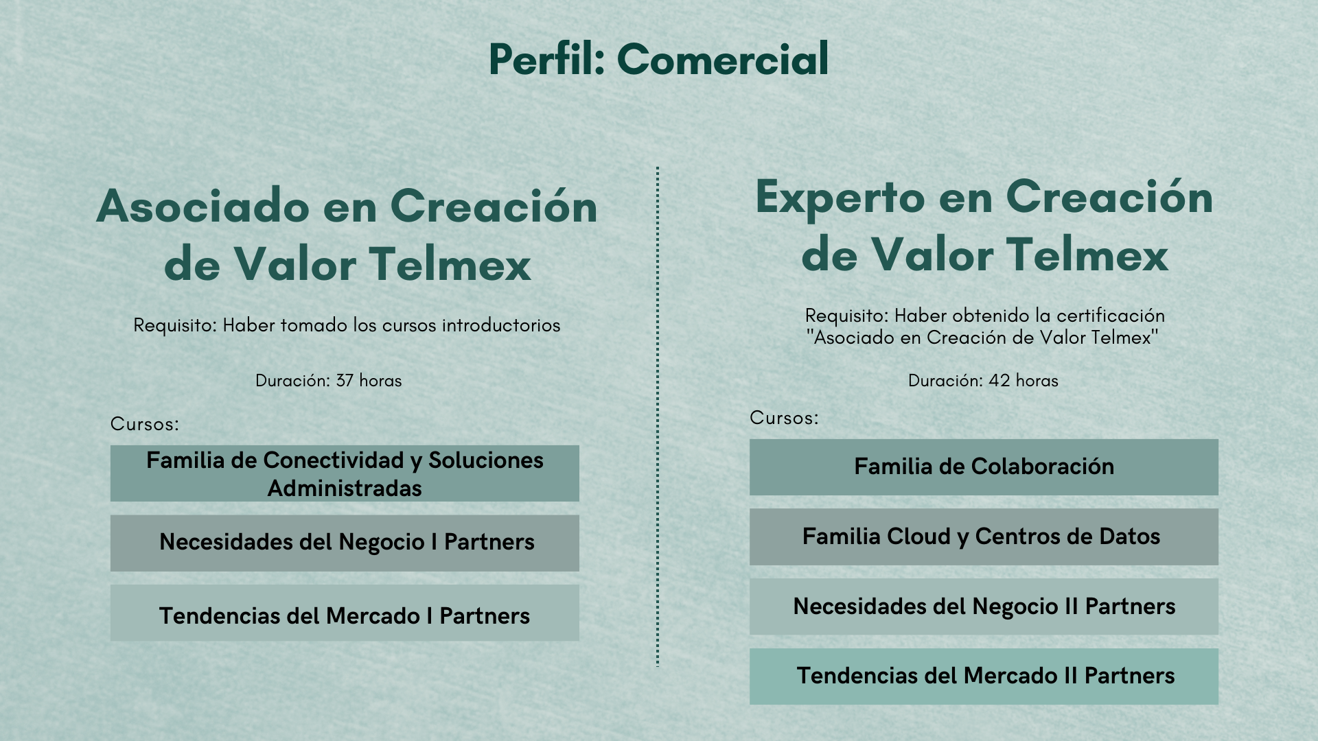 Perfil%20Comercial_nov.png